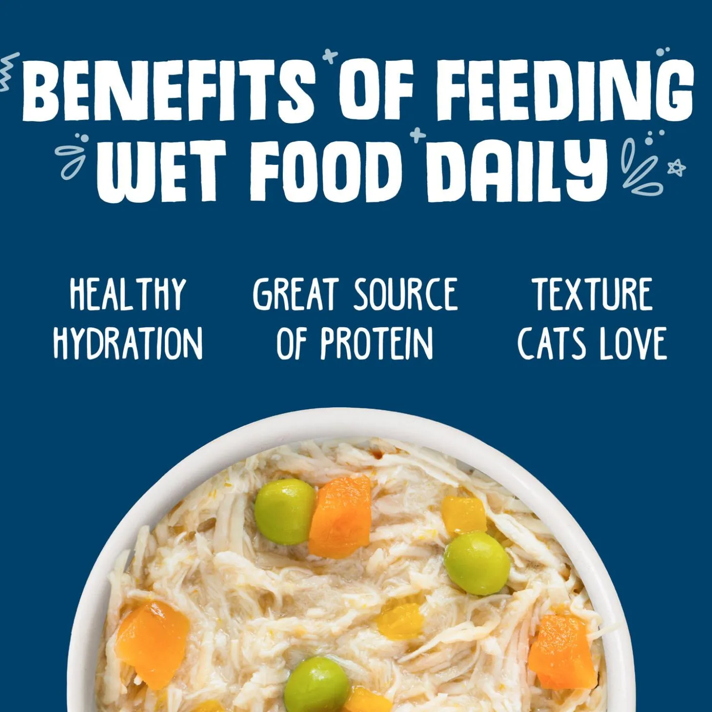 Grandma's Chicken Soup with Chicken & Pumpkin Adult Cat Food