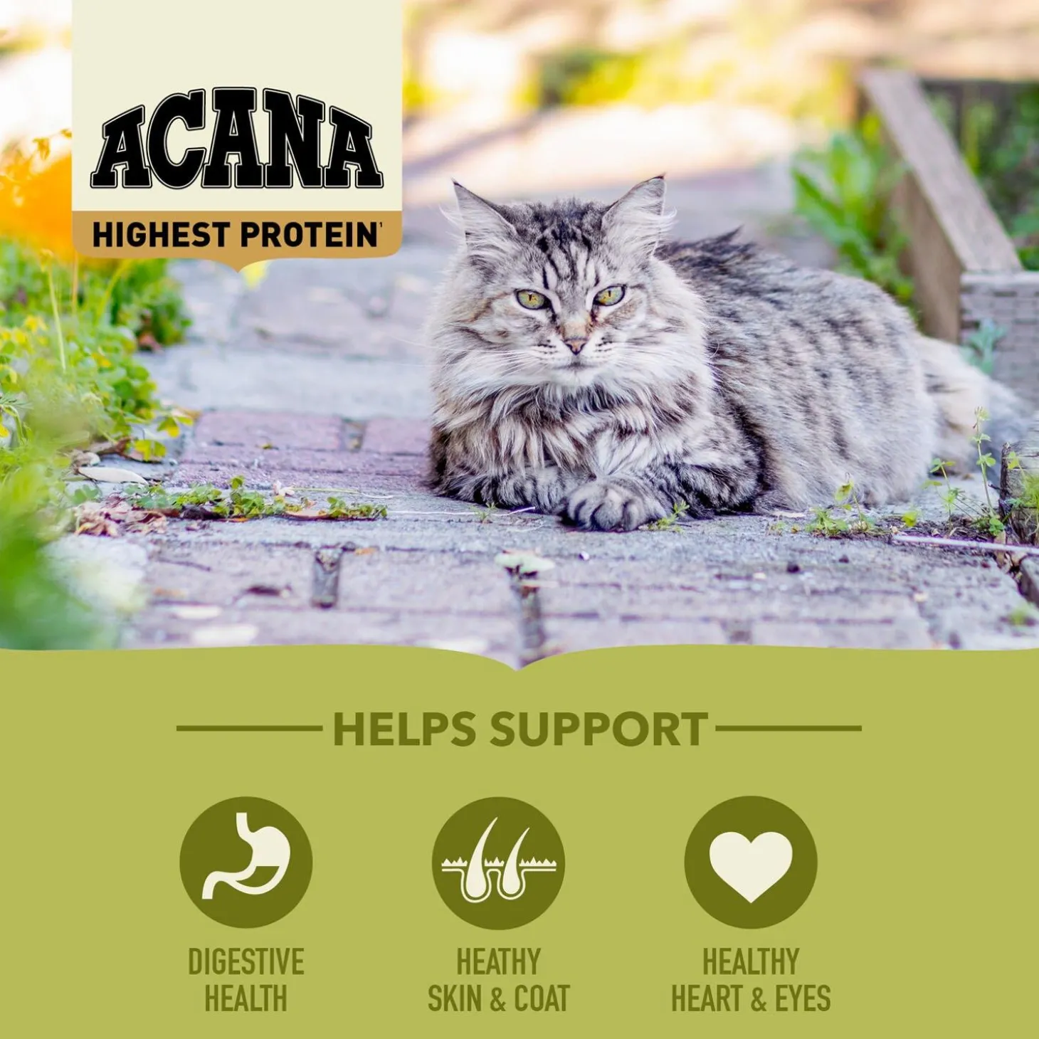 Grasslands Cat Food