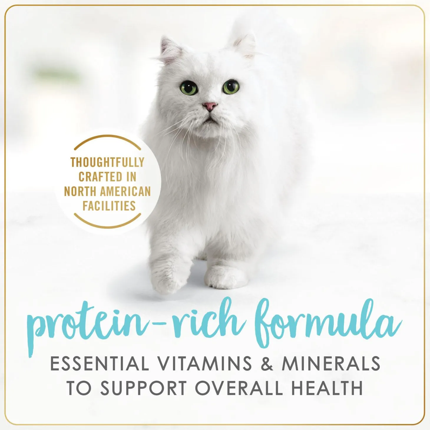 Grilled Tuna Feast Adult Cat Food