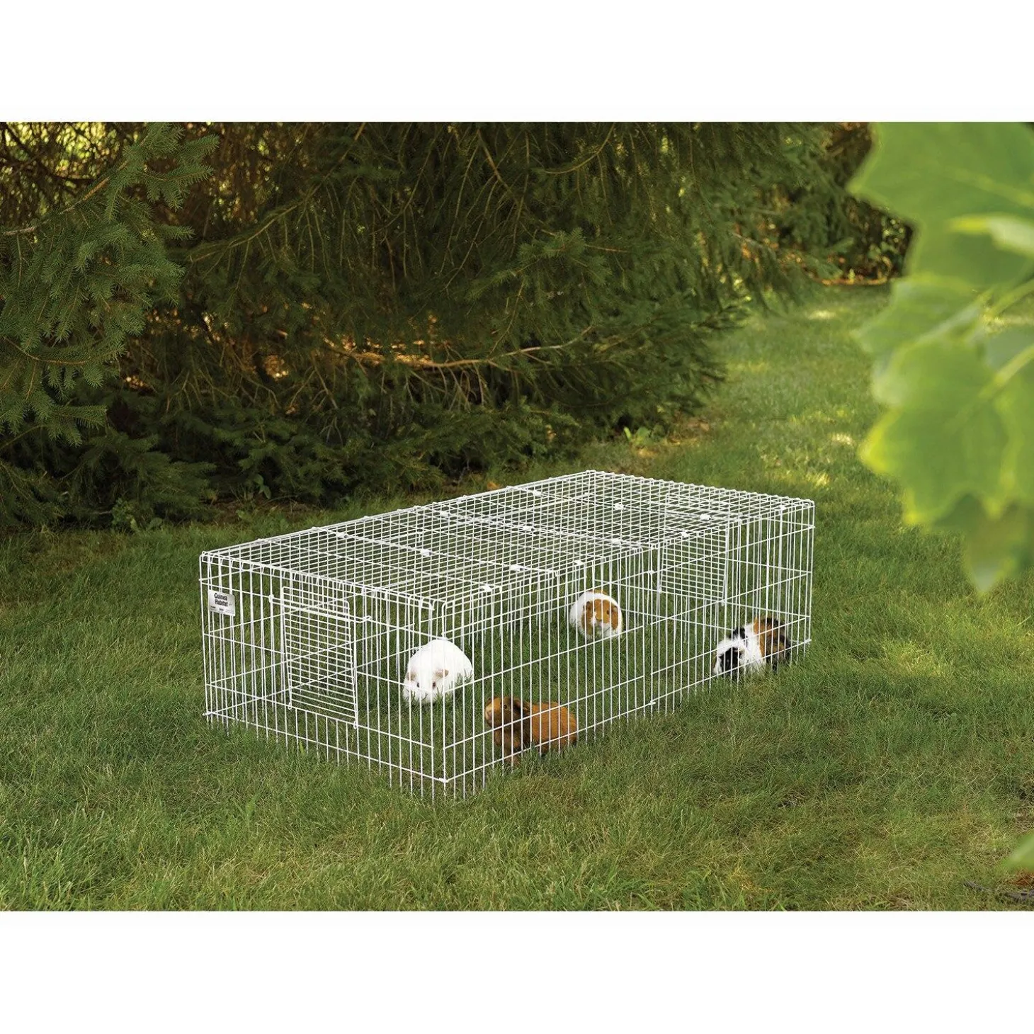 Guinea Habitat Plus