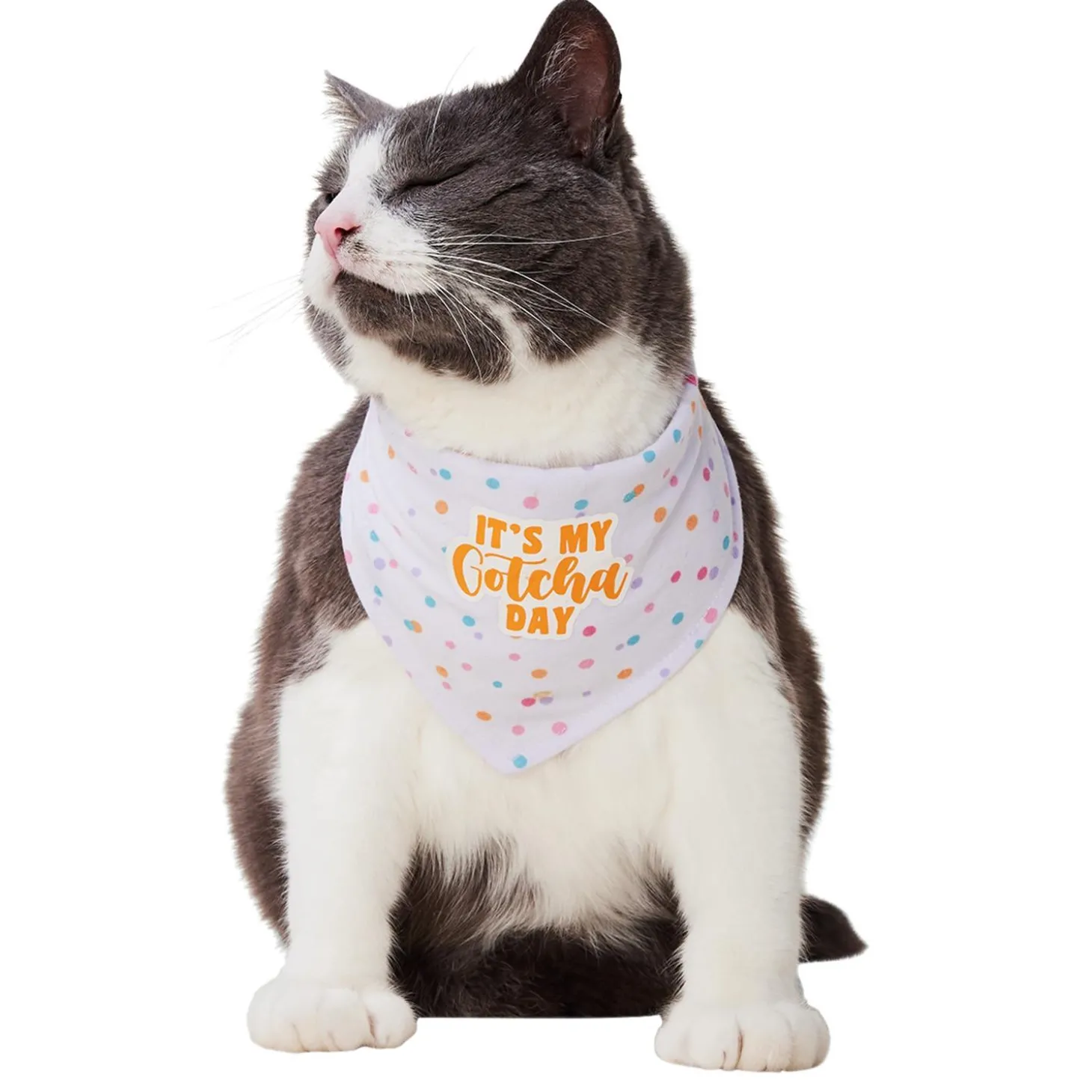 Happy Gotcha Day Bandana