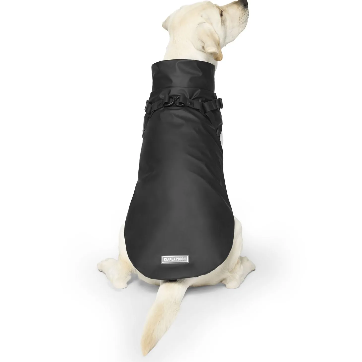 Harness Black Raincoat
