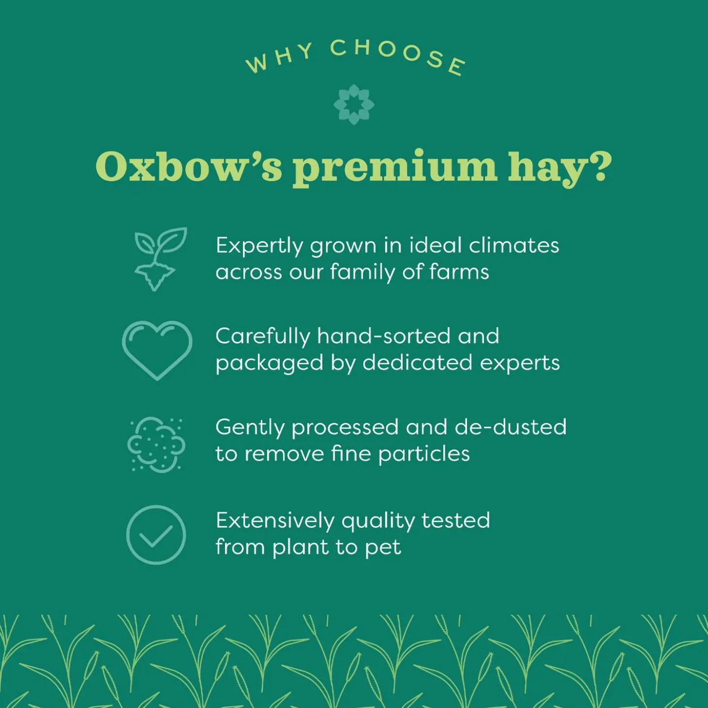 Hay Blends Western Timothy & Orchard Grass