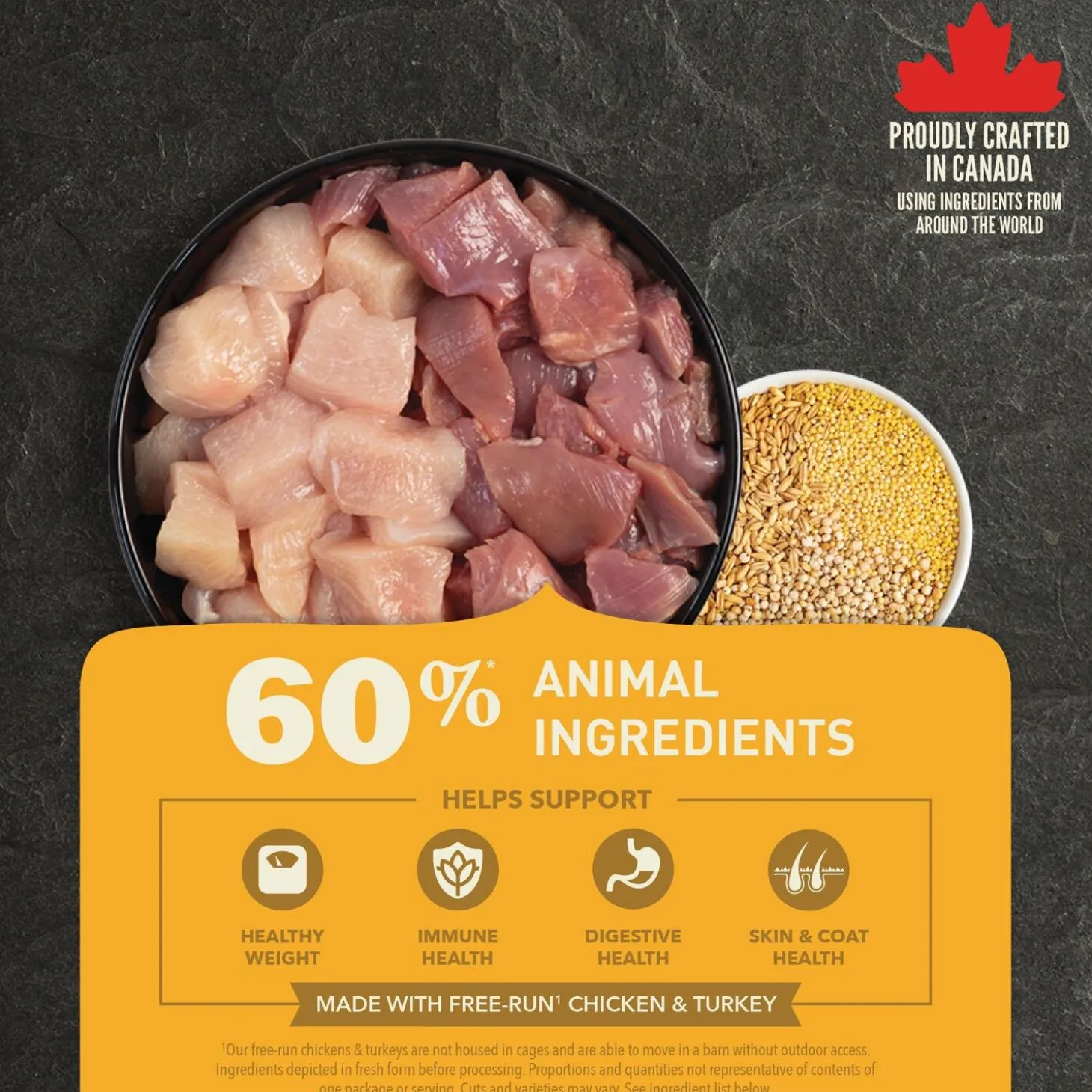 Healthy Grains Free-Run Poultry Recipe Adult Dog Food