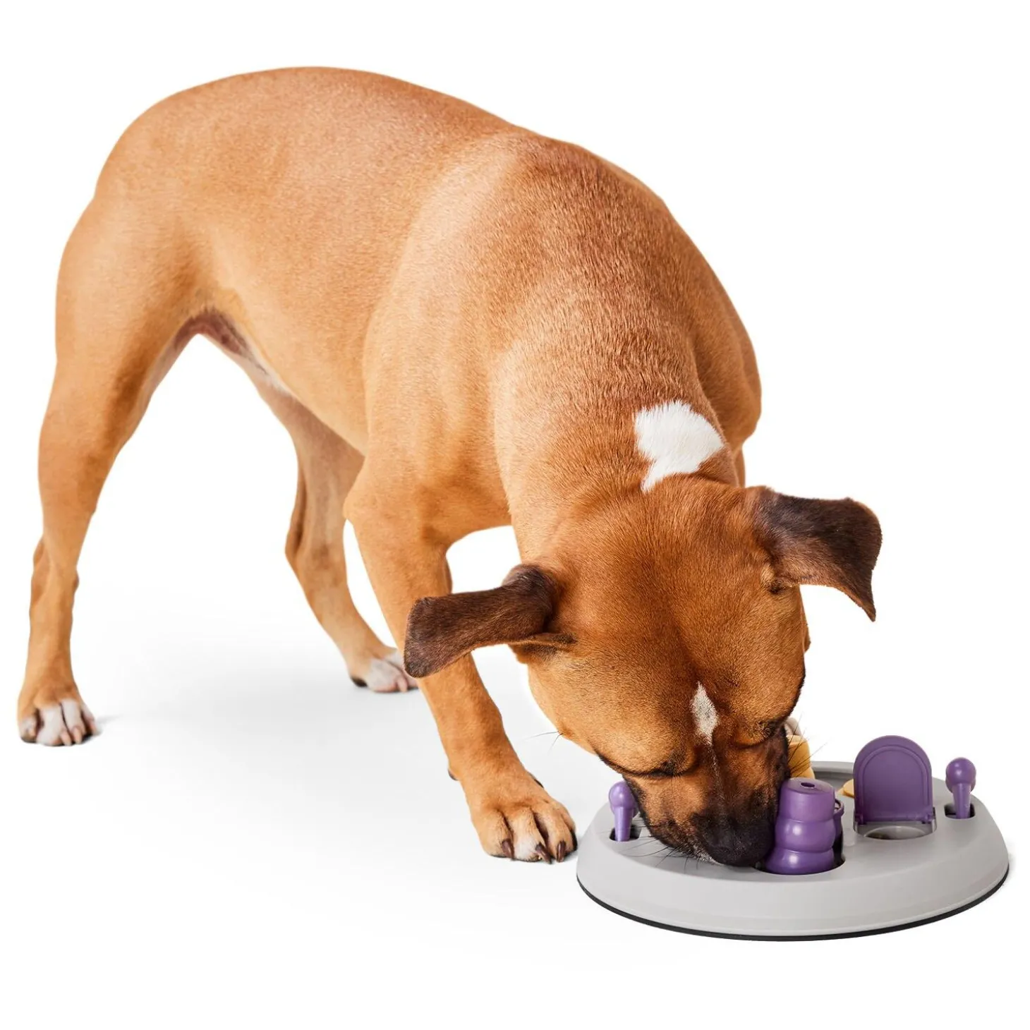 Hide n Seek Flip Board Puzzle Dog Toy
