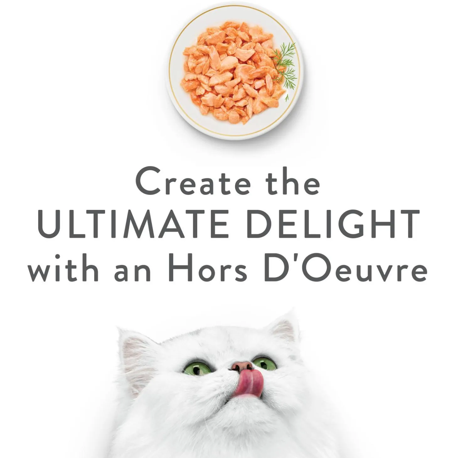 Hors d'Oeuvre Steamed Wild Alaskan Salmon Appetizer Cat Food Topper