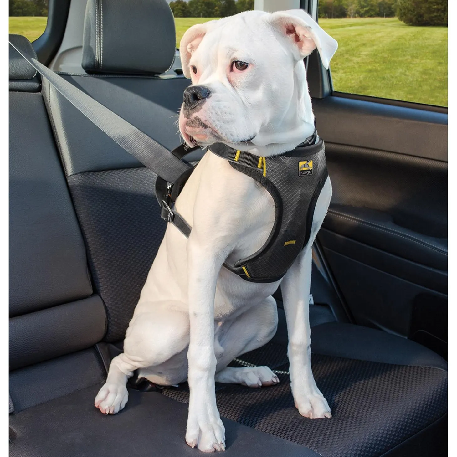 Impact Car Harness for Dogs