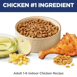 Indoor Chicken Recipe Adult Cat Food