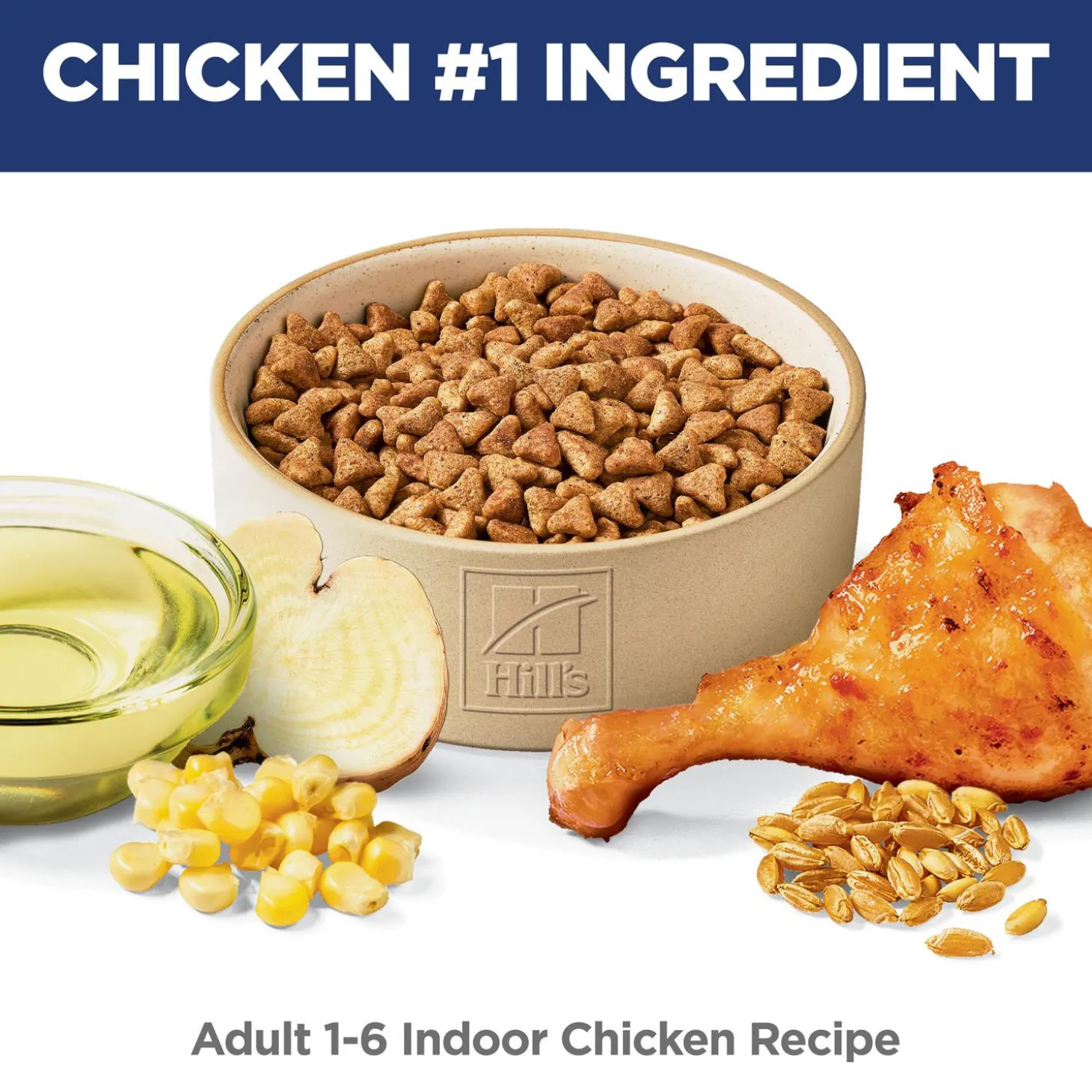 Indoor Chicken Recipe Adult Cat Food