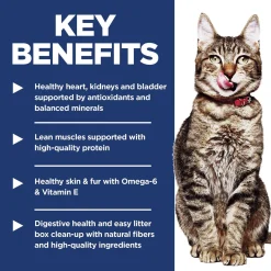 Indoor Chicken Recipe Adult 7+ Cat Food