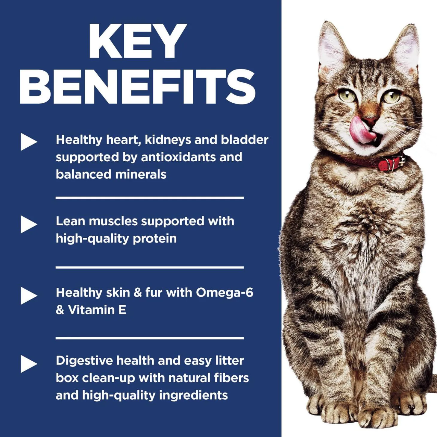 Indoor Chicken Recipe Adult 7+ Cat Food
