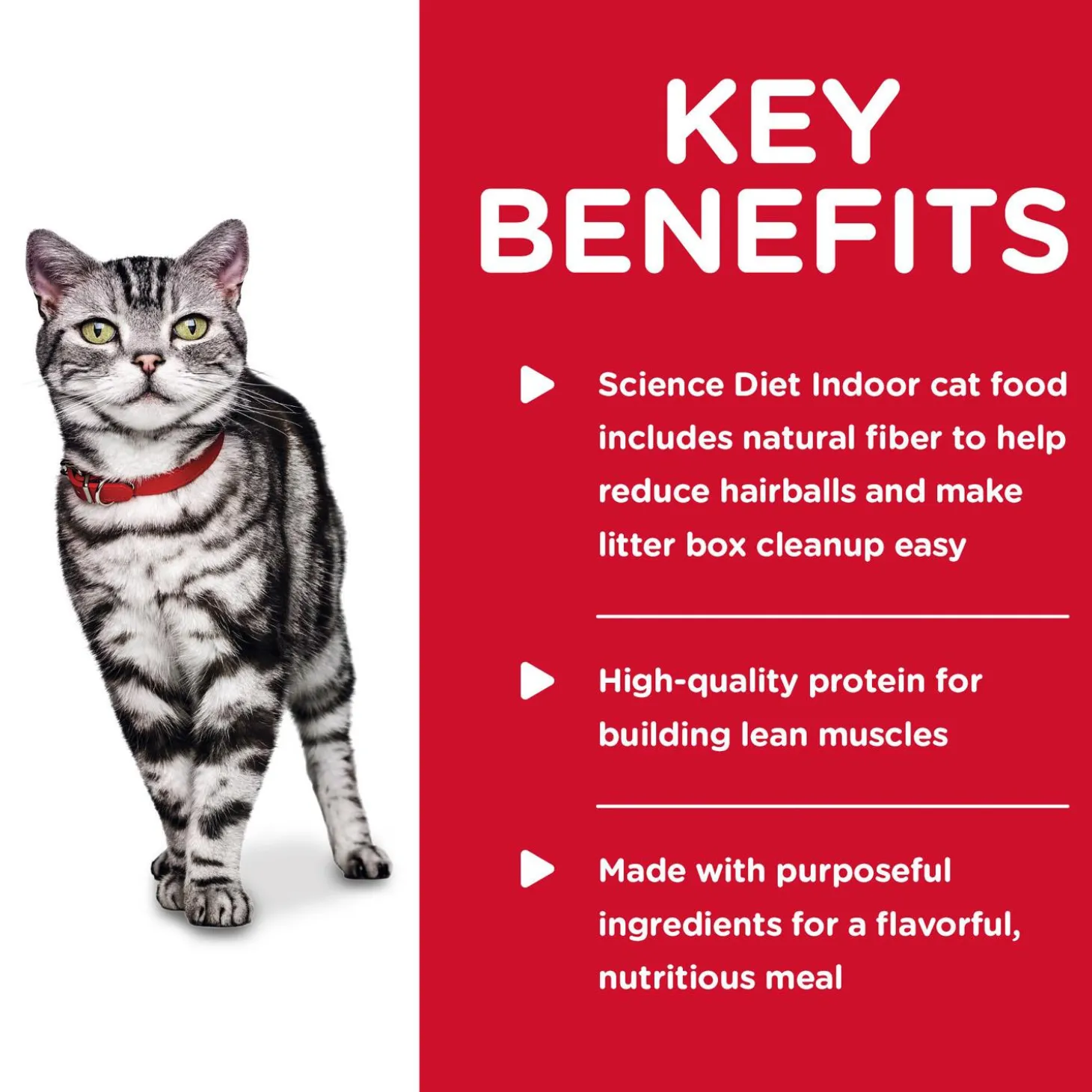 Indoor Savoury Chicken Entree Adult Cat Food