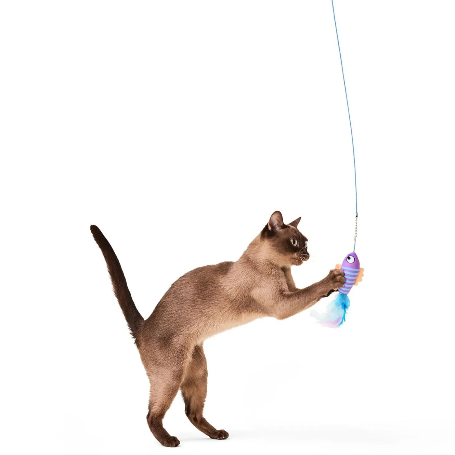 5-in-1 Fish Teaser Wand Set Cat Toy