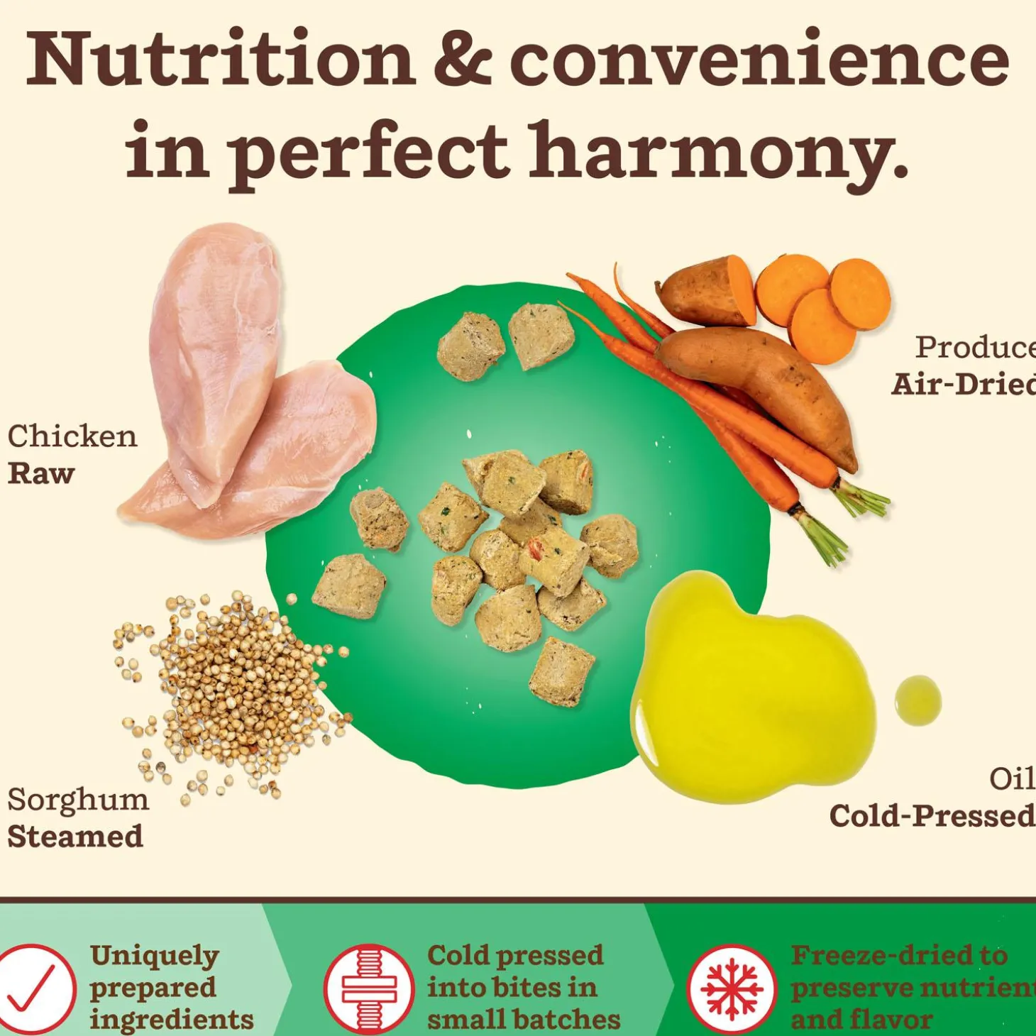 Kibble in the Raw Chicken Recipe Small Breed Adult Dog Food