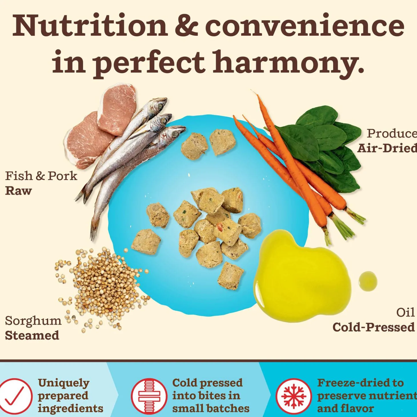 Kibble in the Raw Fish & Pork Recipe Adult Dog Food