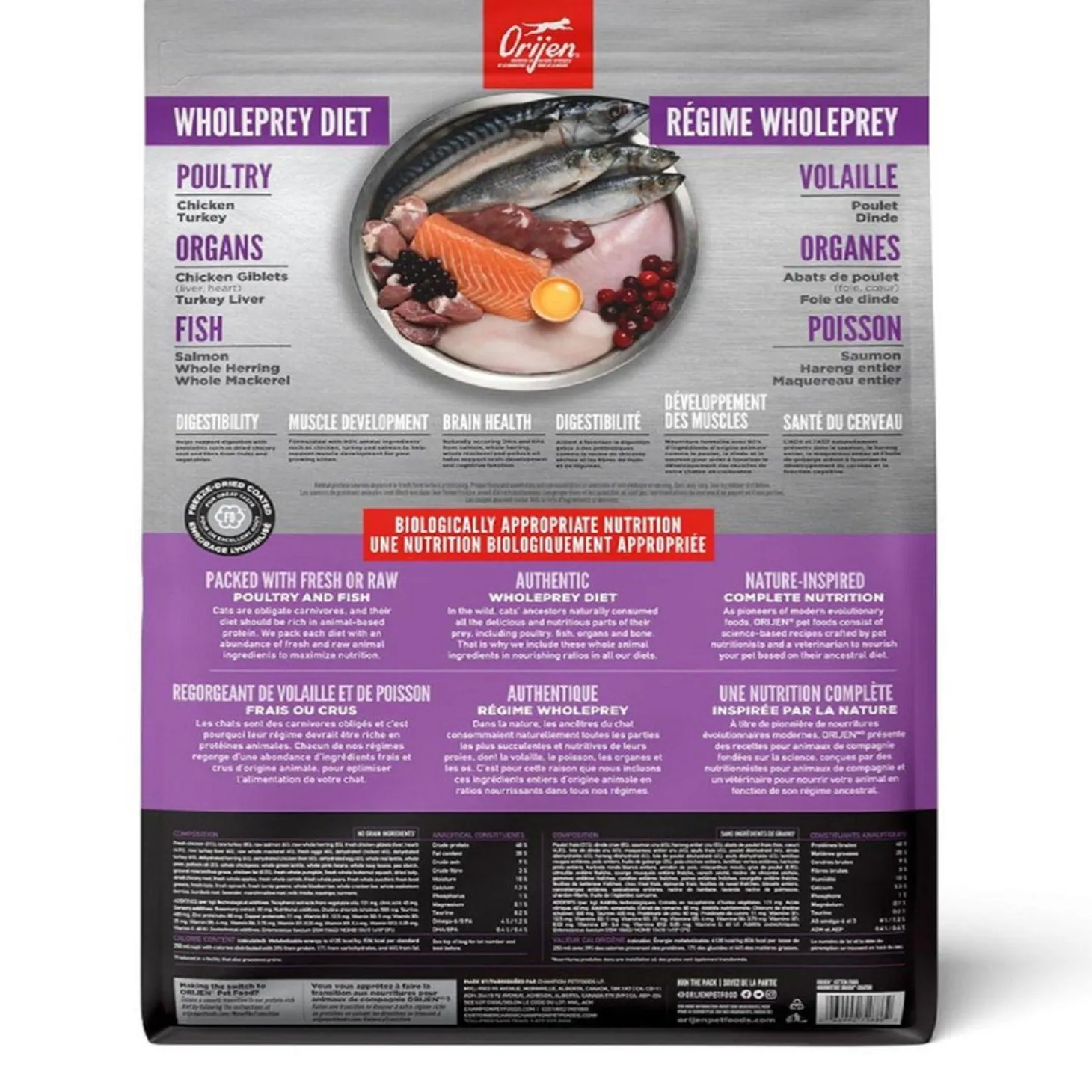 Kitten Cat Food