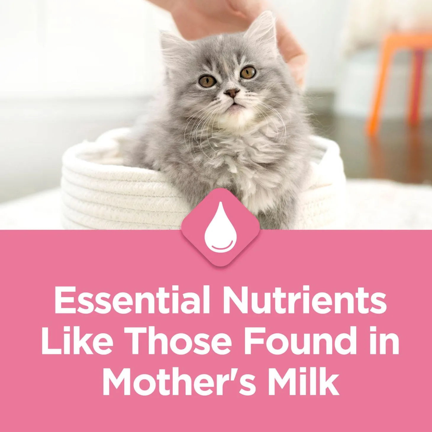 Kitten Chow Real Chicken Kitten Cat Food