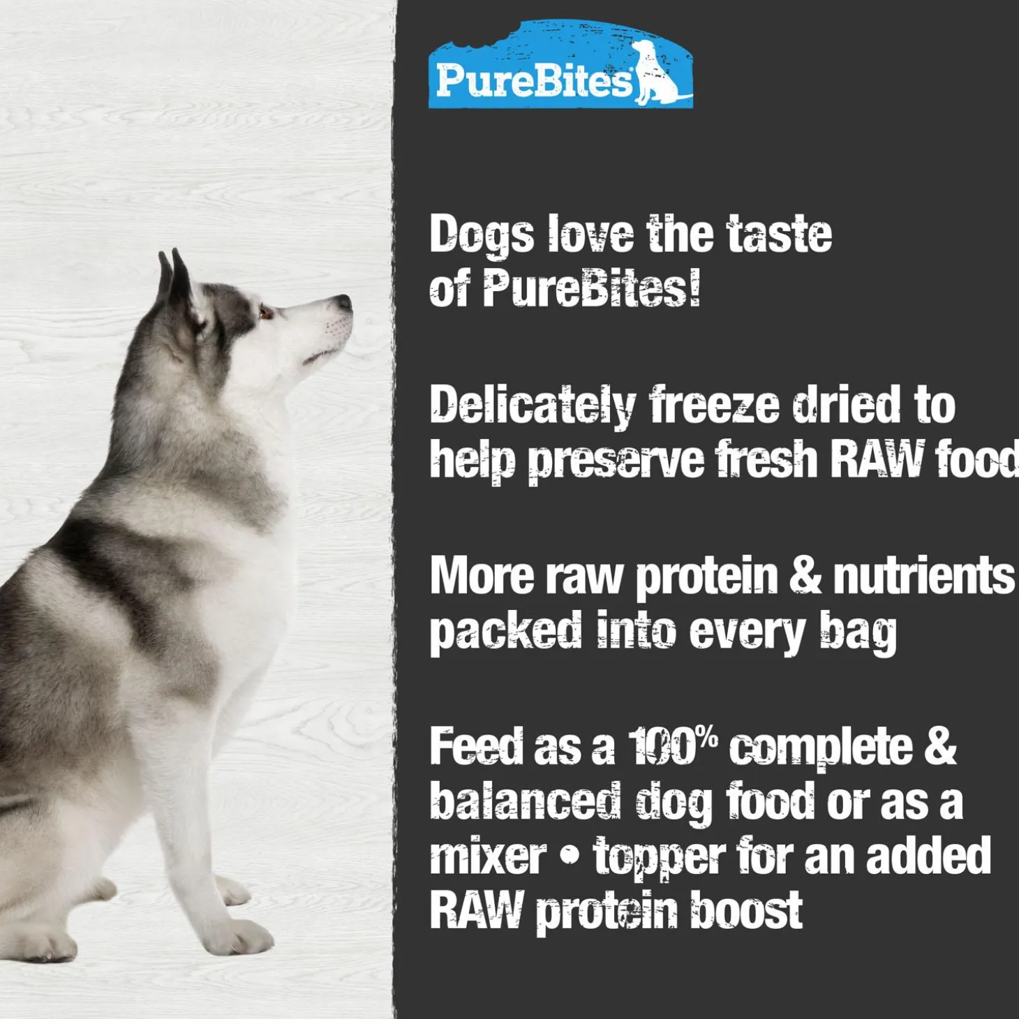 Lamb Recipe Dog Food