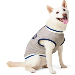 Letterman Grey Jacket