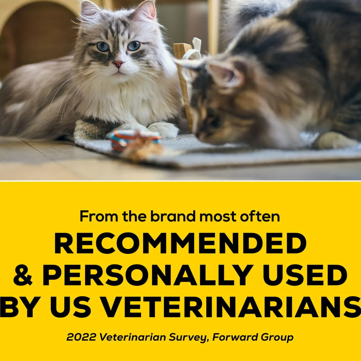 LightWeight 4-in-1 Strength Clumping Cat Litter