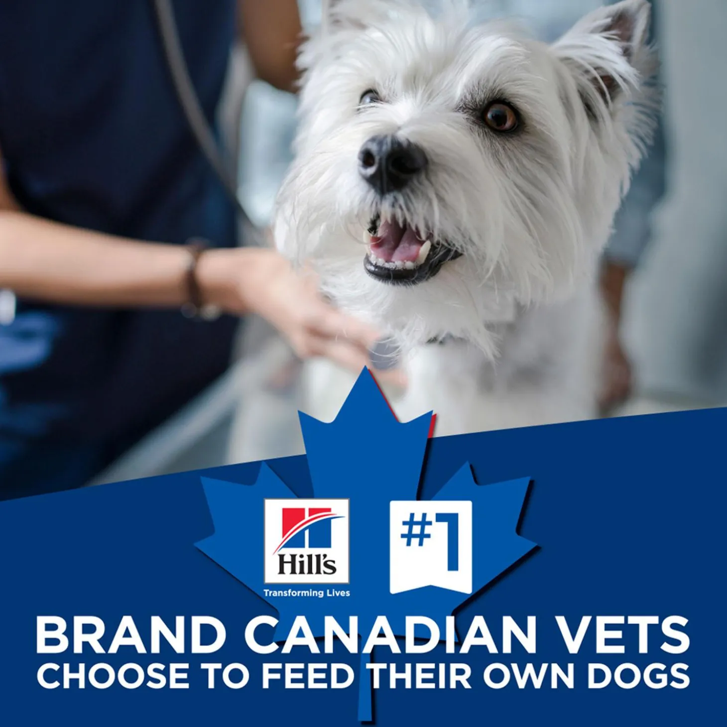 Light with Chicken Meal & Barley Large Breed Adult Dog Food