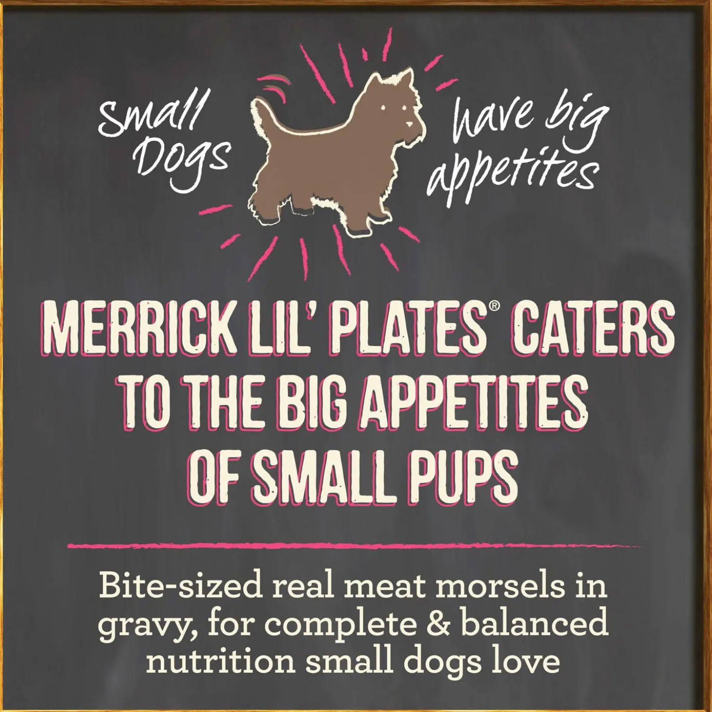 Lil' Plates Little Lamb Chop Stew Small Breed Adult Dog Food