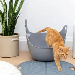 Litter Mat