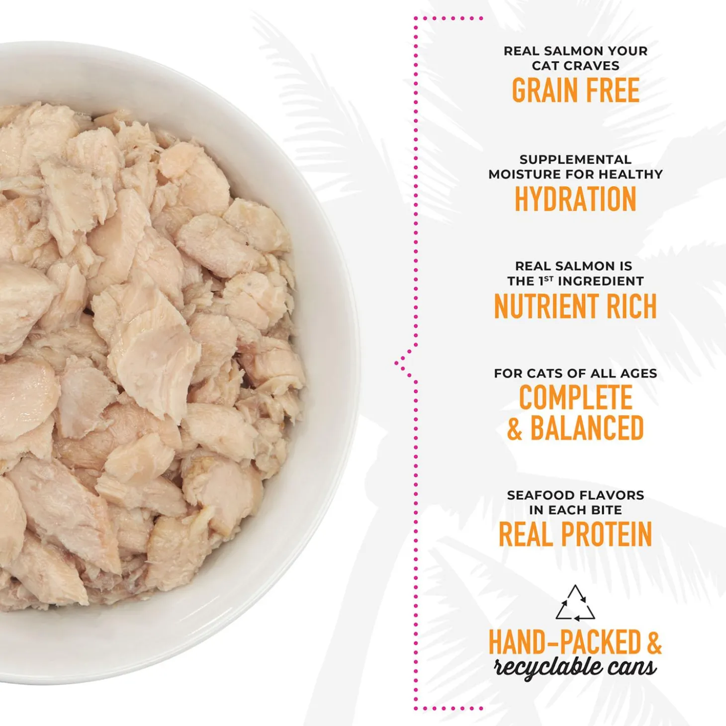 Luau Wild Salmon Recipe in Salmon Consomme Cat Food