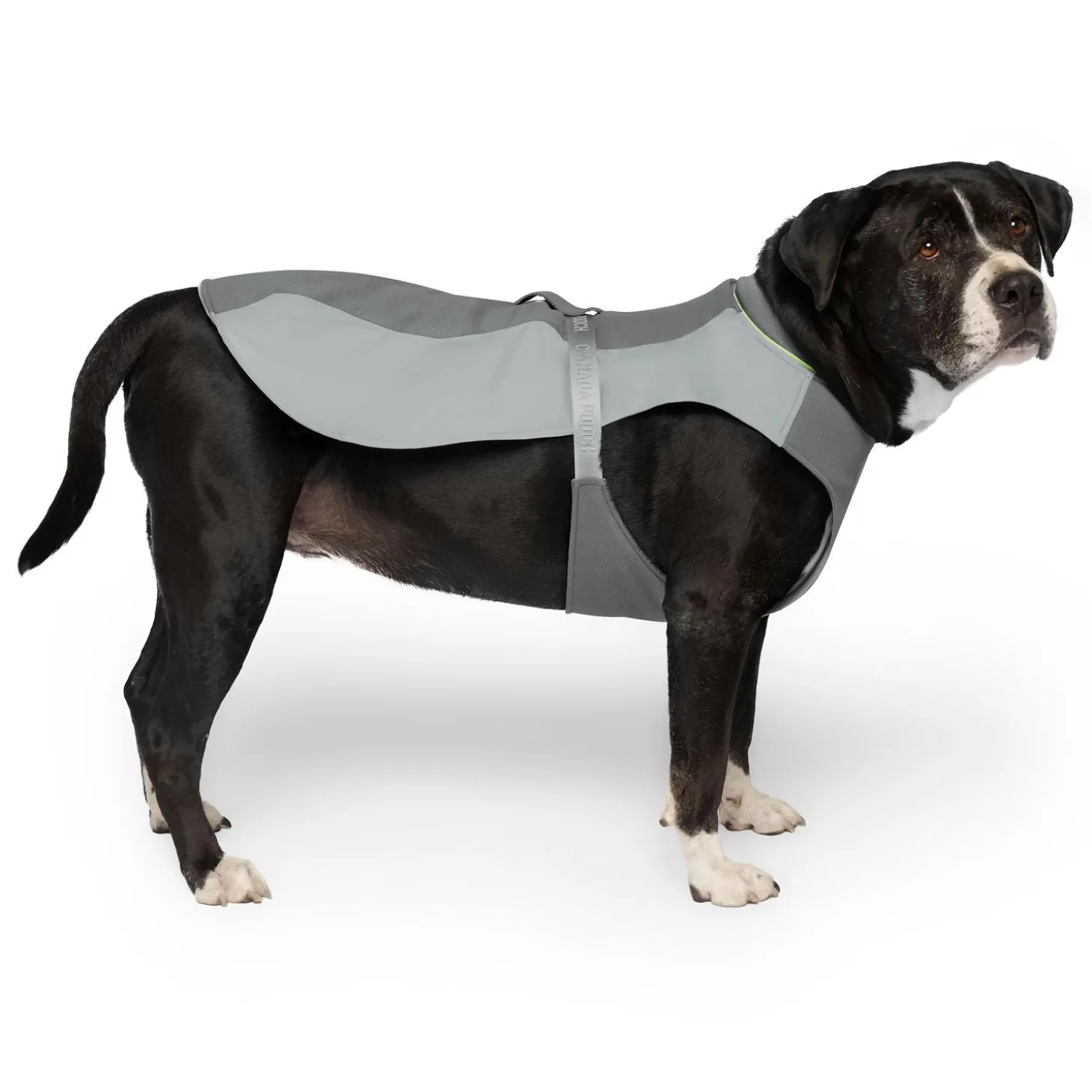 Max Chill Grey Cooling Vest
