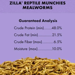 Mealworms Reptile Munchies Reptile Food