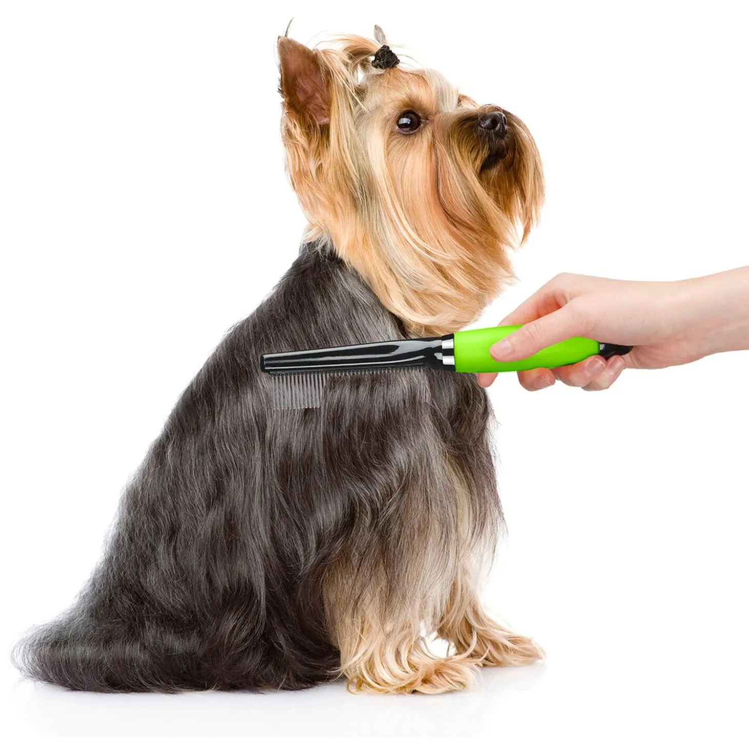 Medium Dog Comb