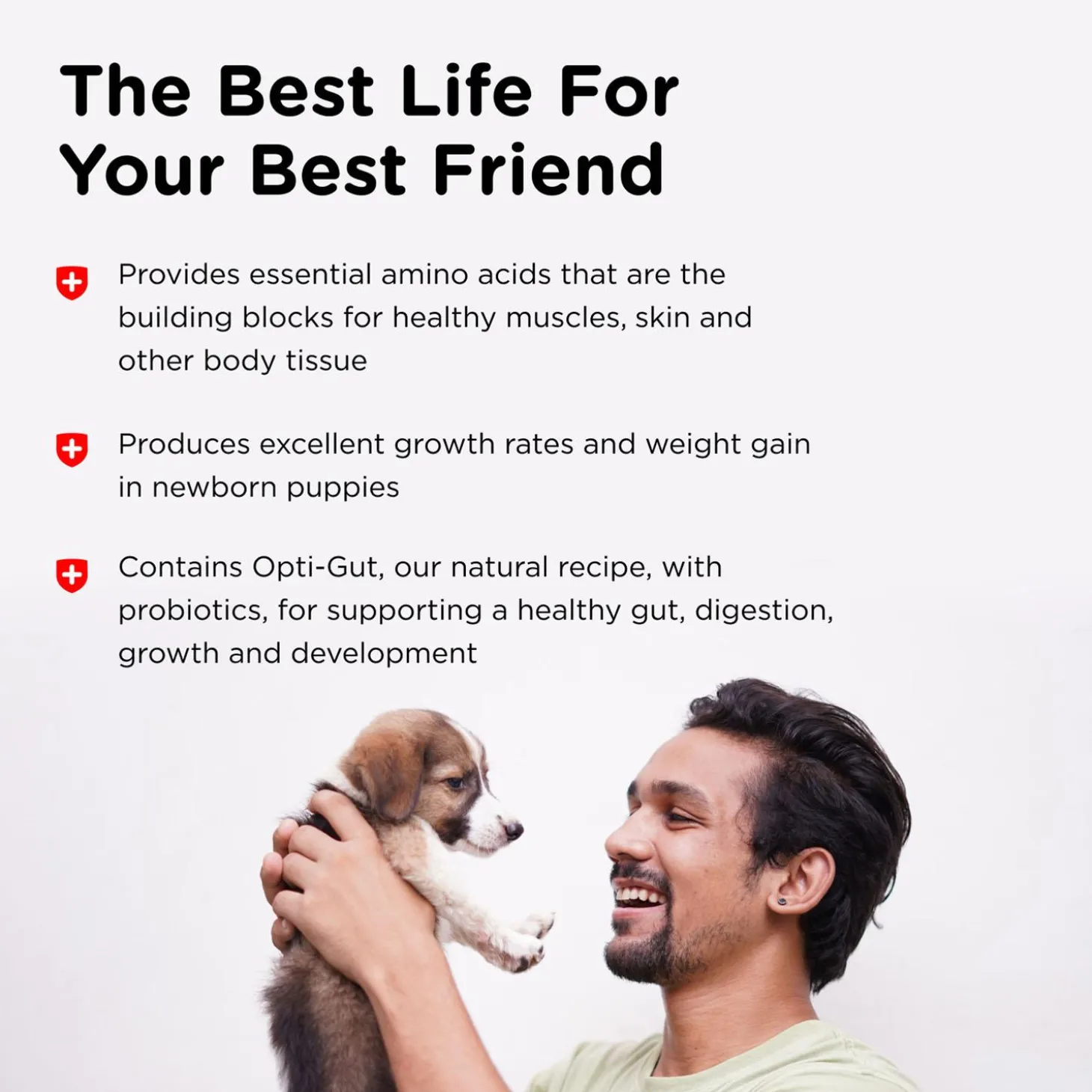 Milk Replacement Puppy Supplement
