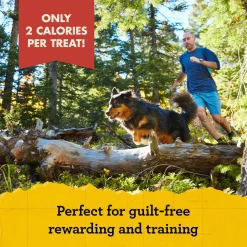 Mini Naturals Salmon Dog Treats