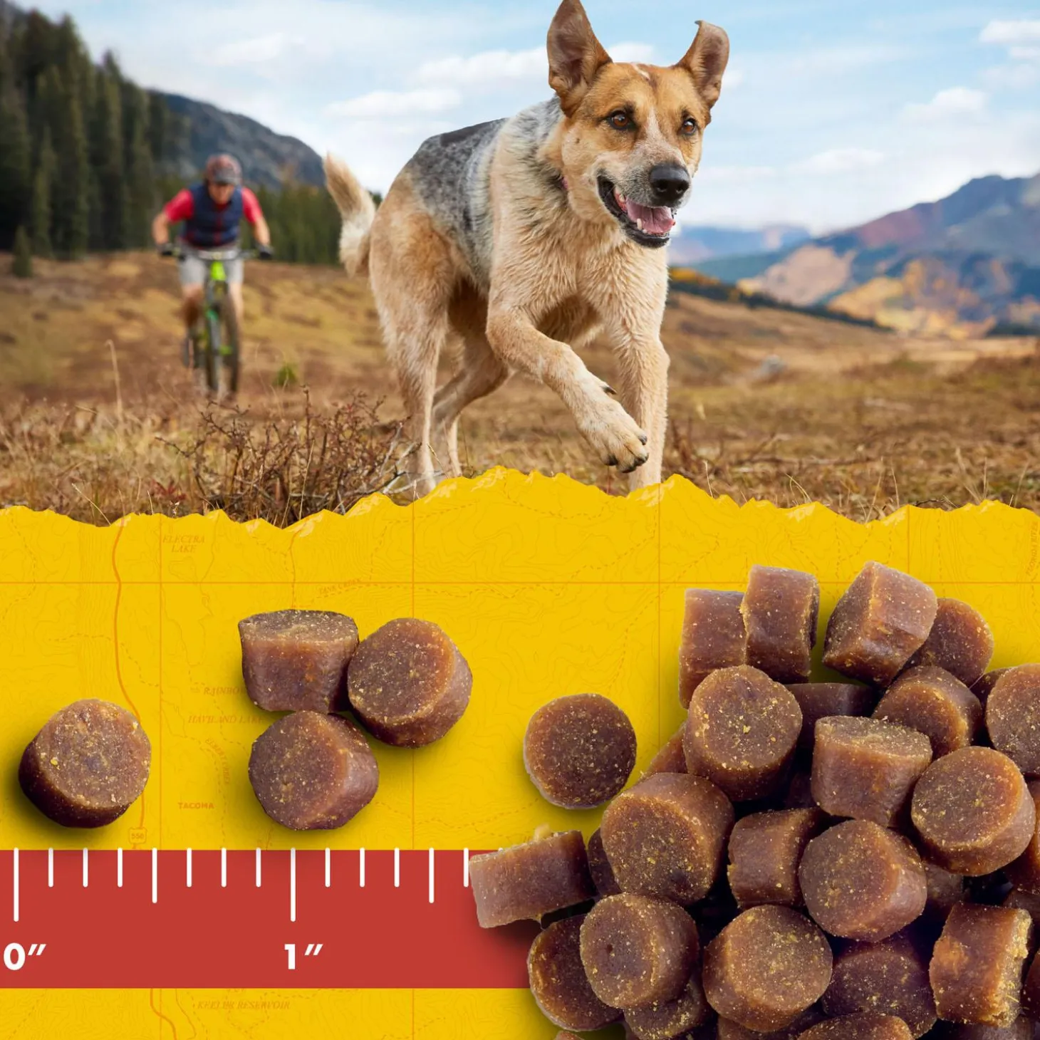 Mini Naturals Salmon Dog Treats