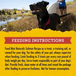 Mini Naturals Salmon Dog Treats