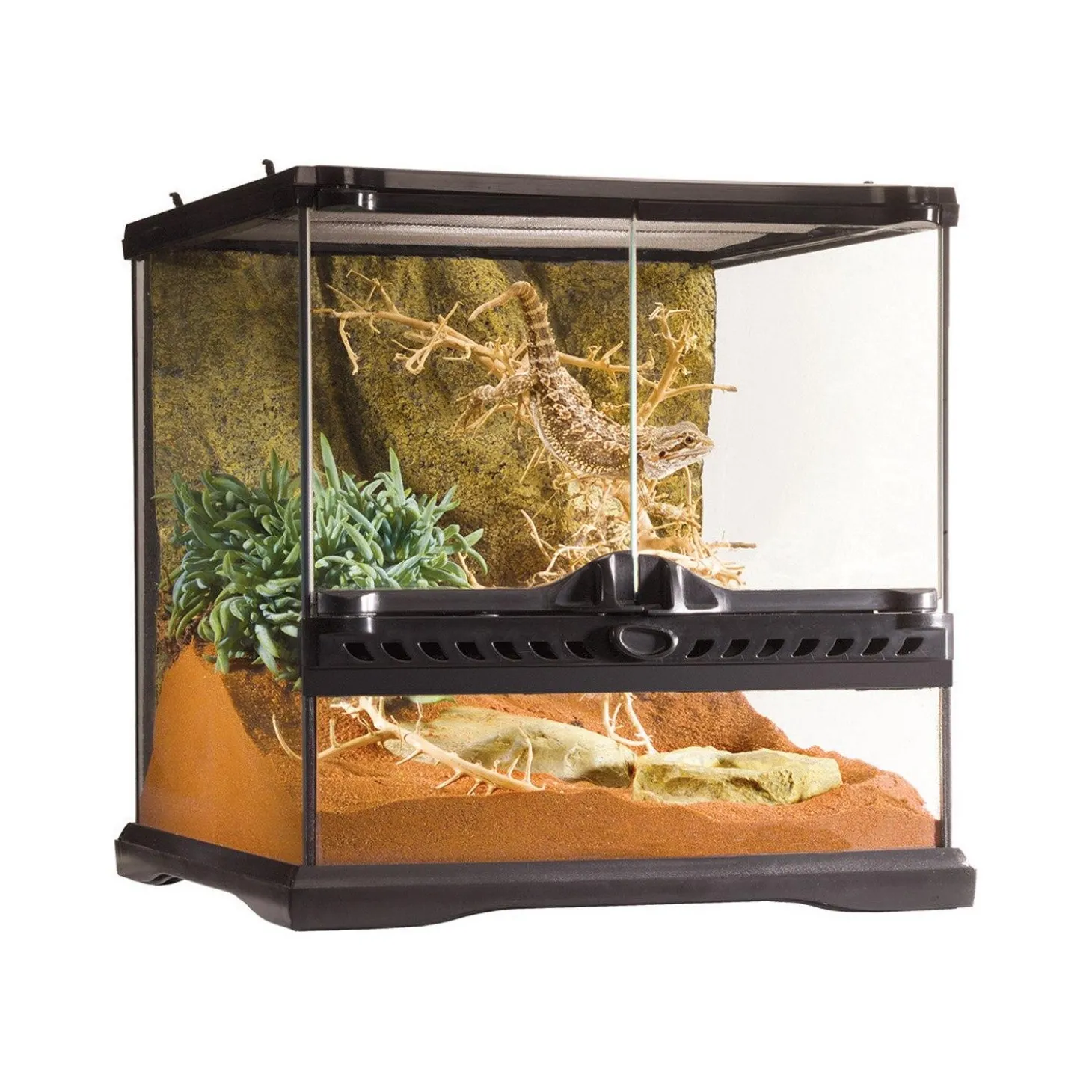 Mini Wide Terrarium
