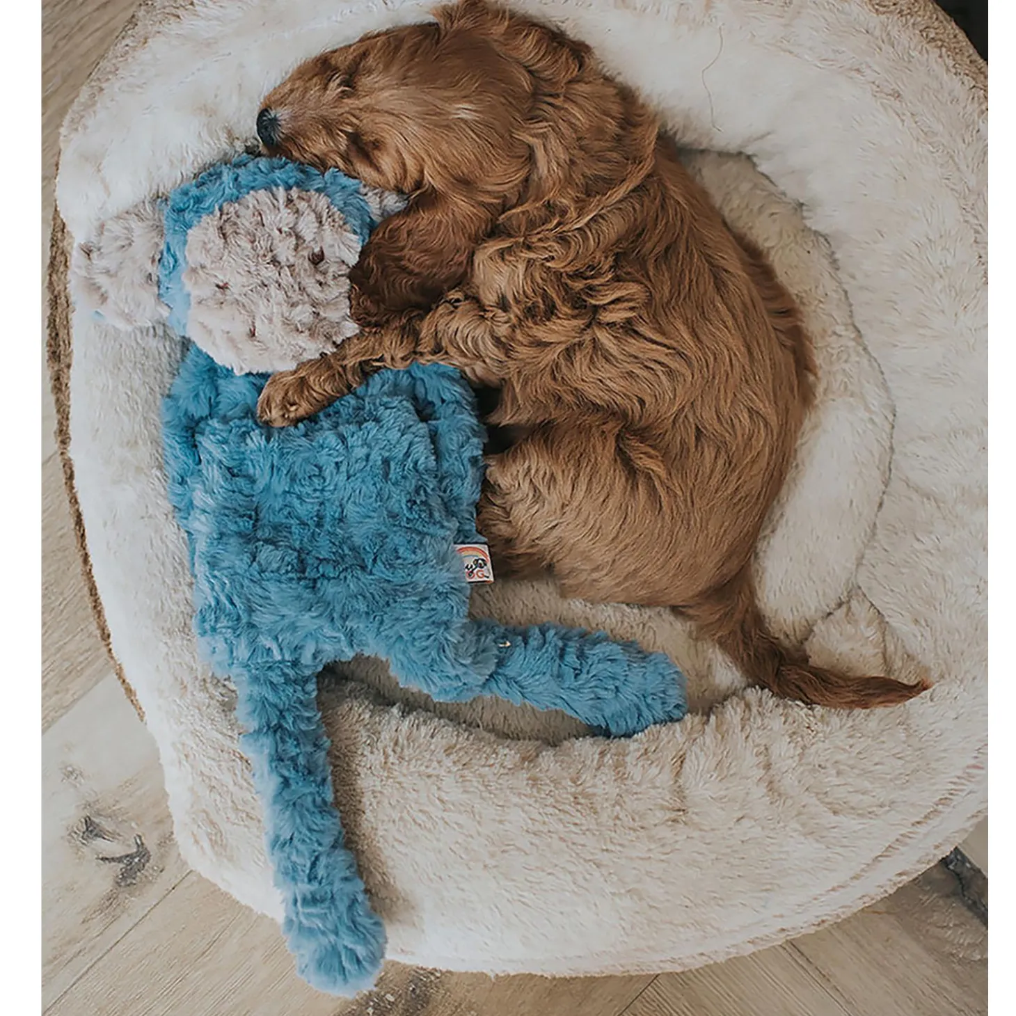 Monkey Comfort Dog Toy