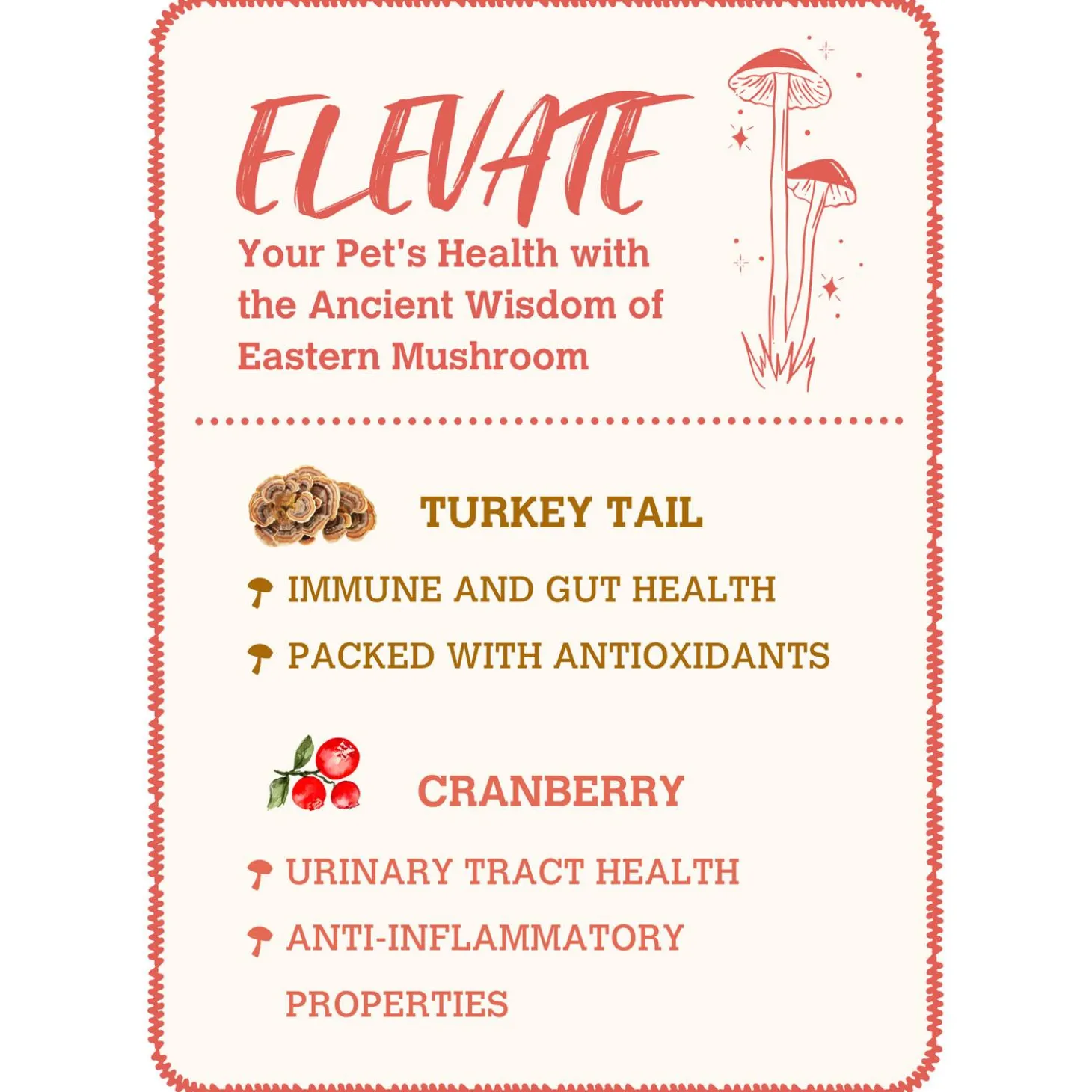 Mushroom Bone Broth Turkey Tail & Cranberry Dog & Cat Meal Topper