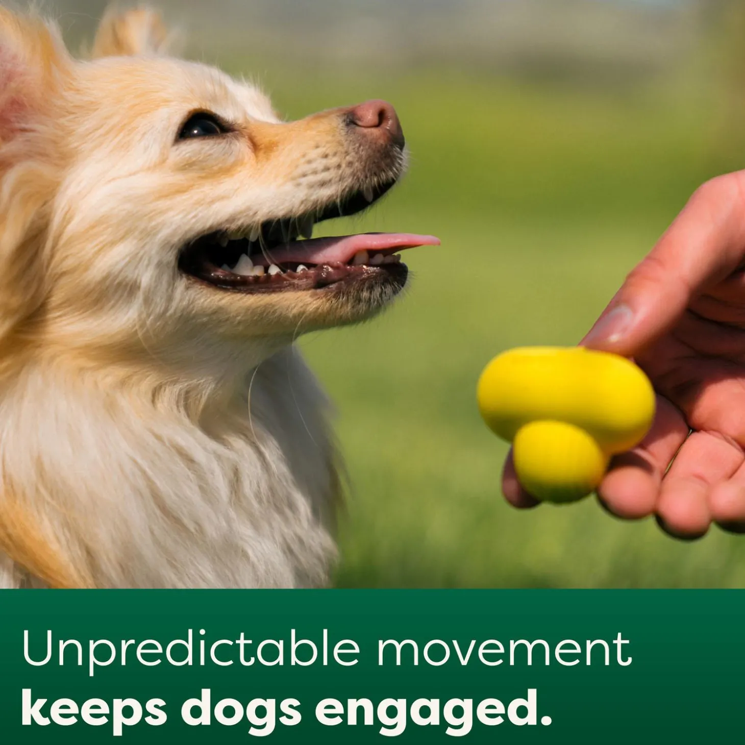 Natural Rubber Dog Fetch Toy