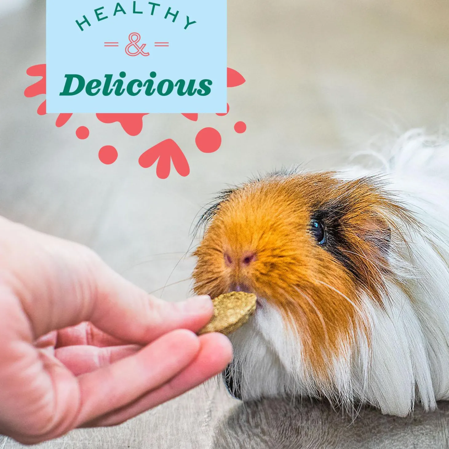 Natural Science Digestive Support Small Animal Supplement