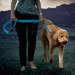 NiteDog Rechargeable LED Blue Dog Leash