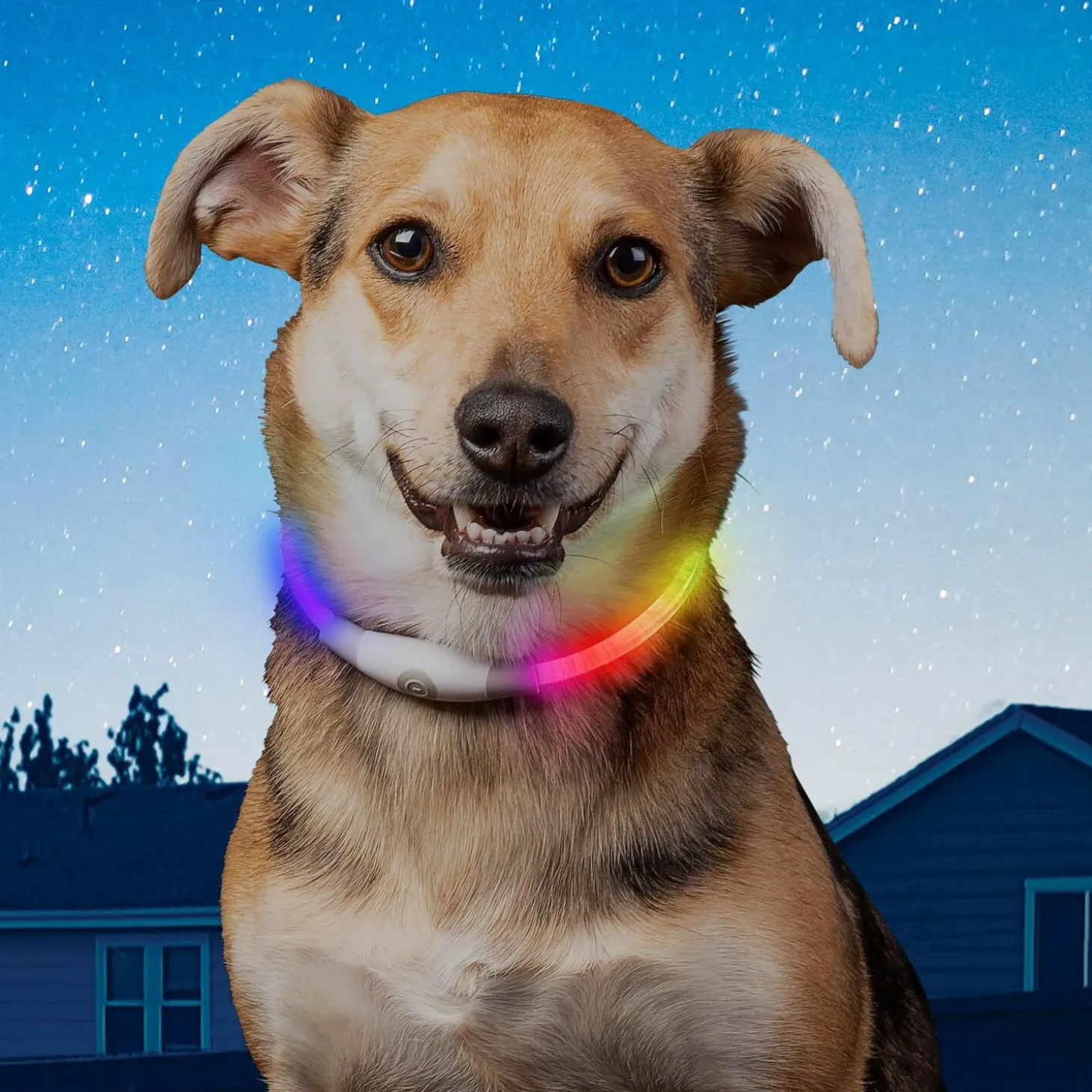 NiteHowl Mini Rechargeable LED Safety Necklace - Disc-O Select