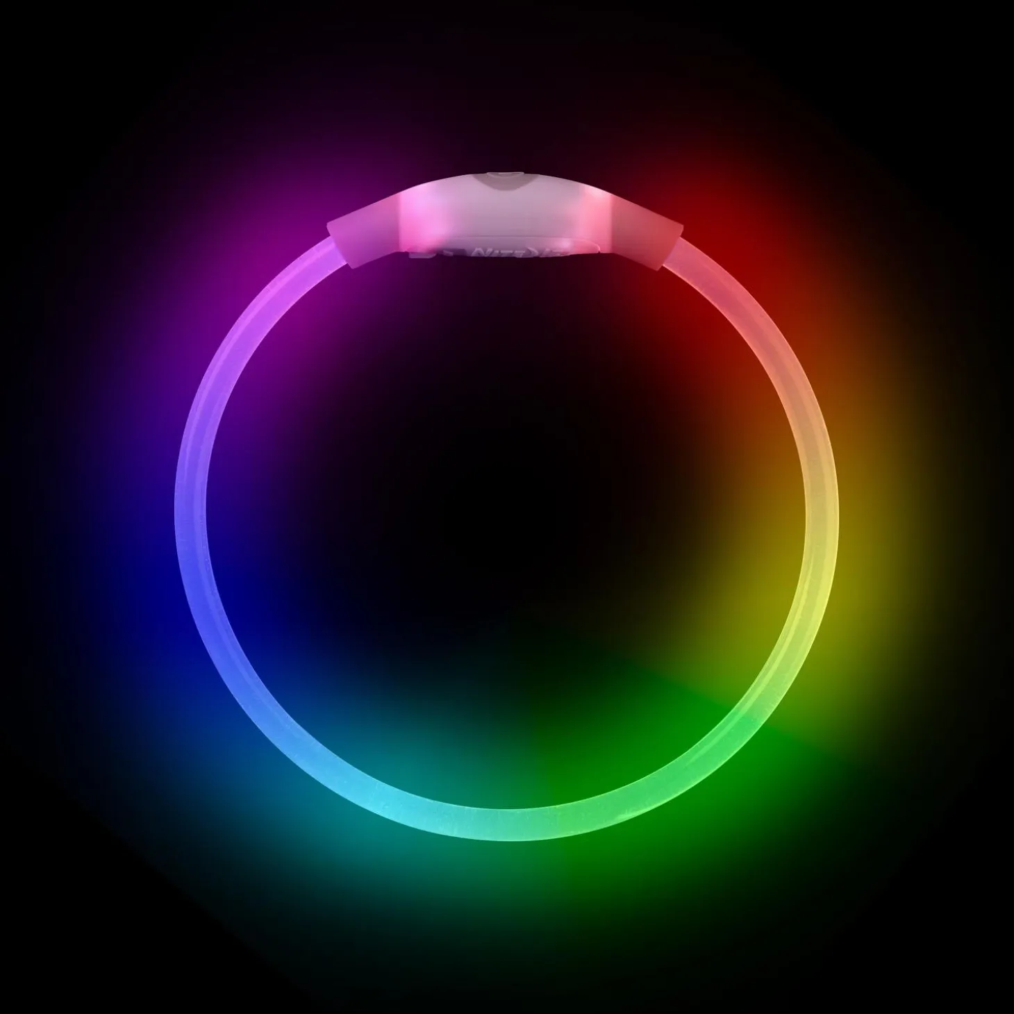 NiteMeow LED Safety Disc-O Select Necklace