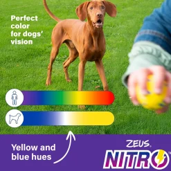 NITRO Bendy Bone Dog Toy
