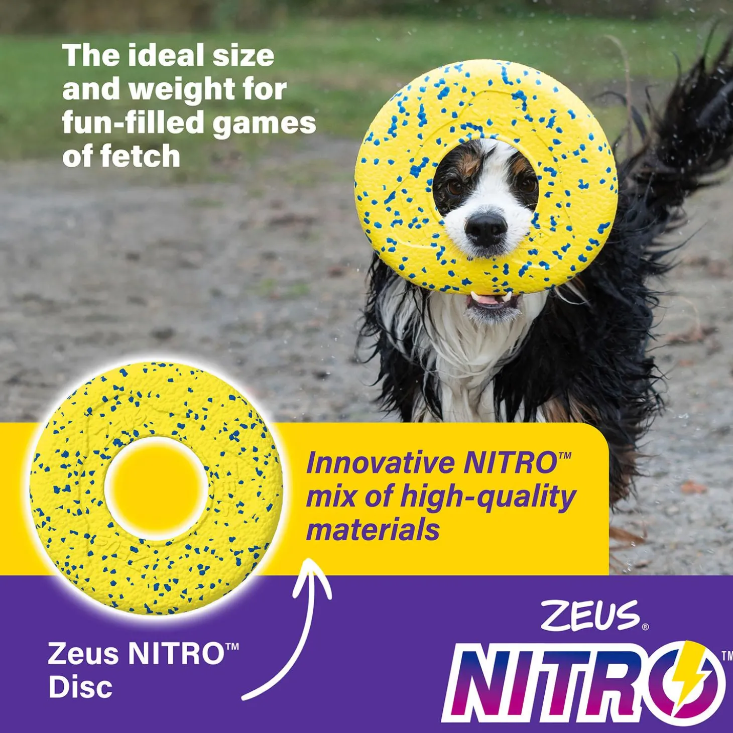 NITRO Flying Disc Dog Toy