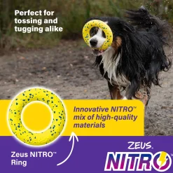 NITRO Ring Dog Toy