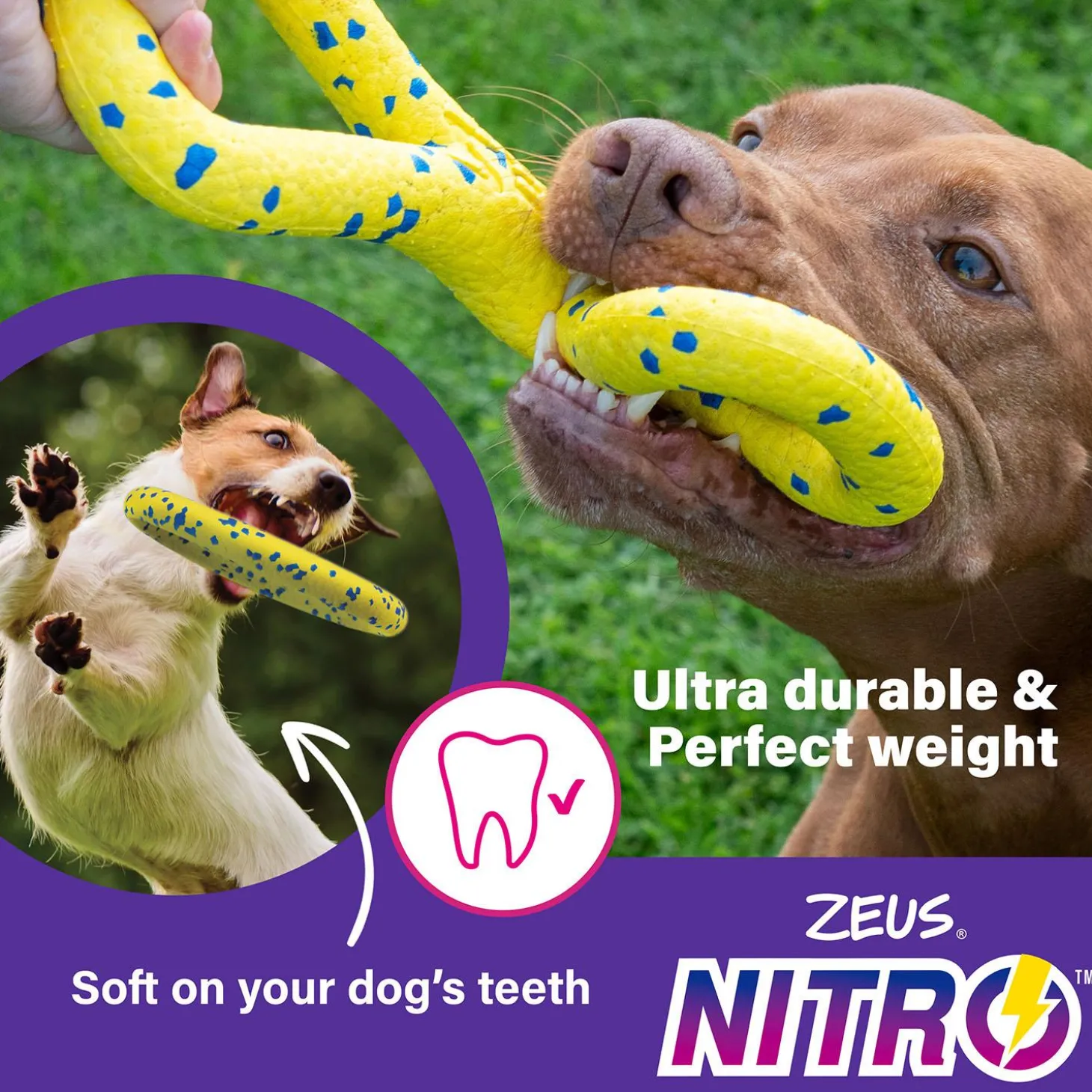 NITRO Ring Dog Toy