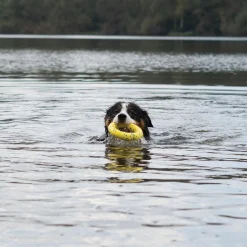 NITRO Ring Dog Toy