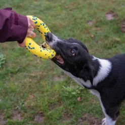 NITRO Ring Dog Toy