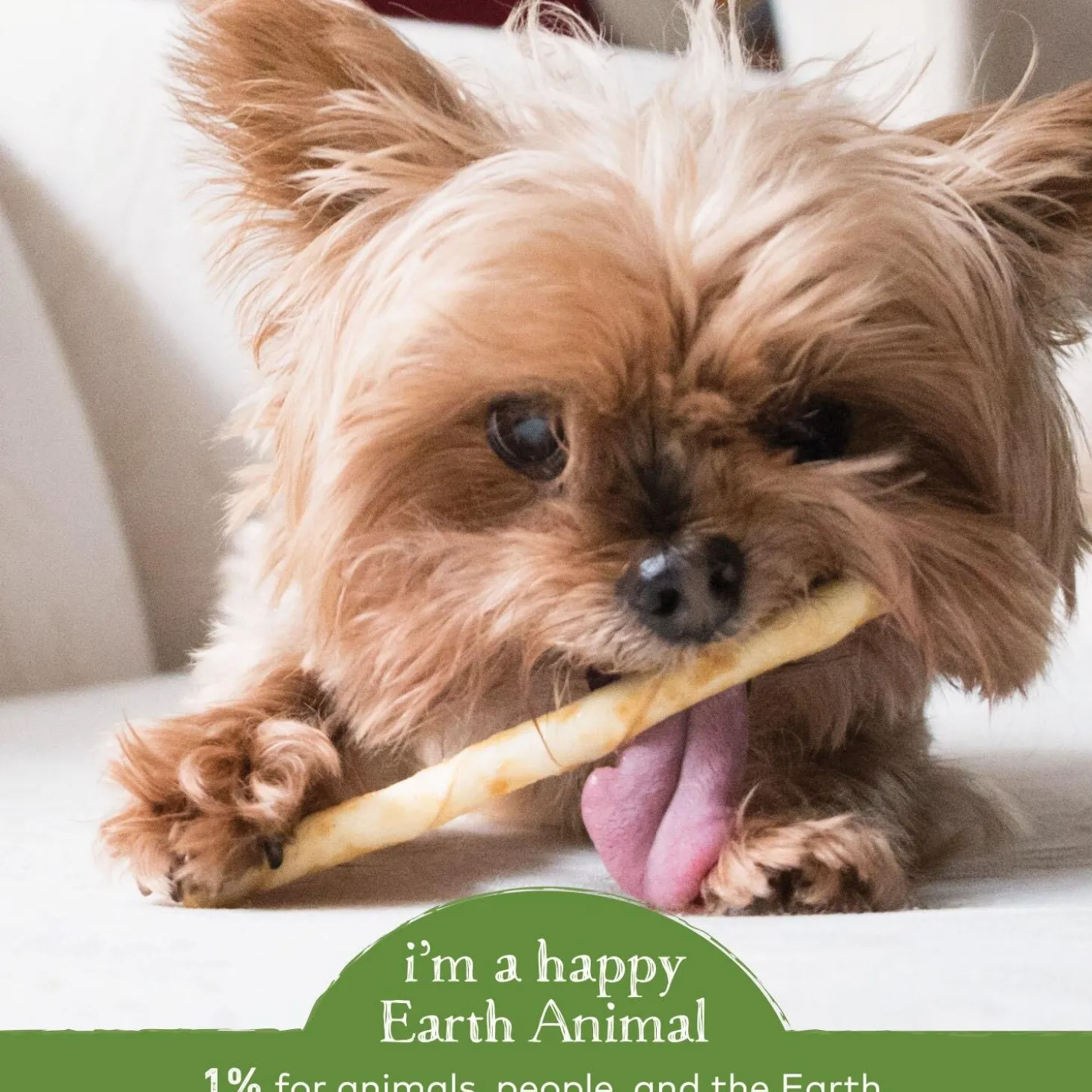No-Hide Humanely-Raised Pork Stix Natural Rawhide Alternative Dog & Cat Chew